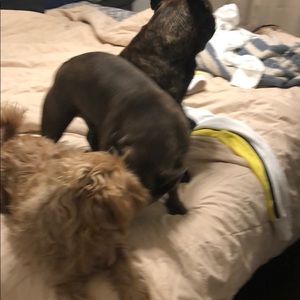 Meet your Posher, Claudia